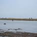 Gotland